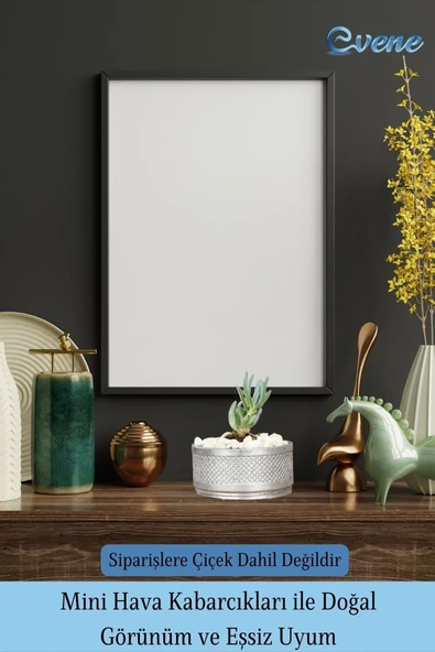Evene Saksı Dekoratif Saksı Kaktüs Saksısı Sukulent Saksısı Küçük Saksı Model 46 Siyah Gümüş Saksı - 6
