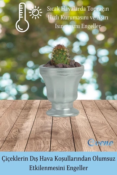 Evene Saksı Dekoratif Saksı Kaktüs Saksısı Sukulent Saksısı Küçük Saksı Model 38 Gümüş Saksı - Resim 4