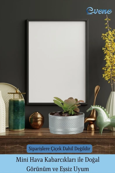 Evene Saksı Dekoratif Saksı Kaktüs Saksısı Sukulent Saksısı Küçük Saksı Model 46 Gümüş Saksı - Resim 6