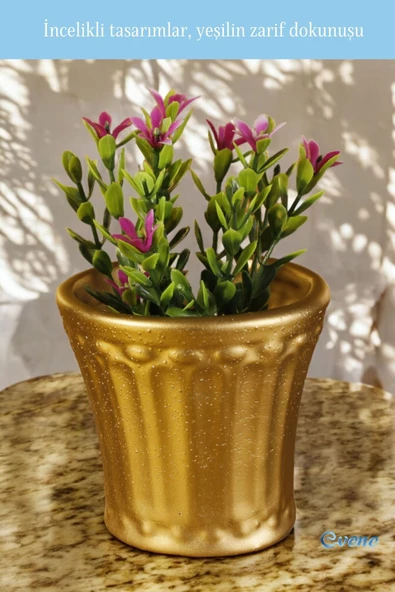 Evene Saksı Dekoratif Saksı Kaktüs Saksısı Sukulent Saksısı Küçük Saksı Model 40 Gold Saksı - Resim 5