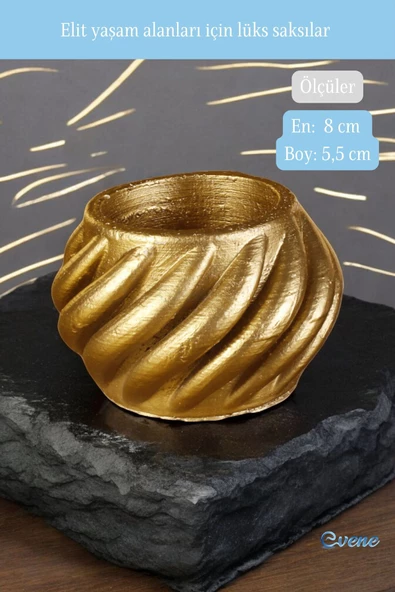Evene Mini Çiçek Saksı Küçük Sukulent Altın Kaktüs Saksısı Kalın Çizgili Spiral Model - Resim 2