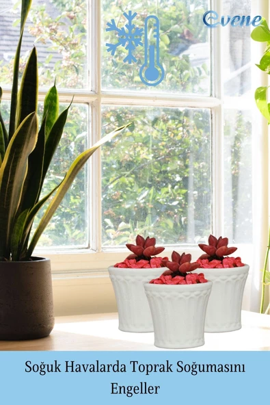 Evene Saksı Dekoratif Saksı Kaktüs Saksısı Sukulent Saksısı Küçük Saksı Model 40 Beyaz Saksı - Resim 5