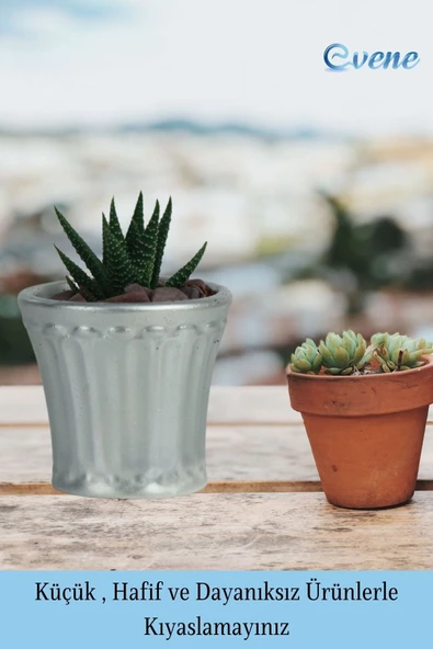 Evene Saksı Dekoratif Saksı Kaktüs Saksısı Sukulent Saksısı Küçük Saksı Model 40 Gümüş Saksı - Resim 3