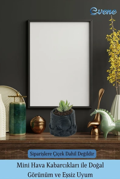 Evene Saksı Dekoratif Saksı Kaktüs Saksısı Sukulent Saksısı Küçük Saksı Model 5 Siyah Saksı - 6