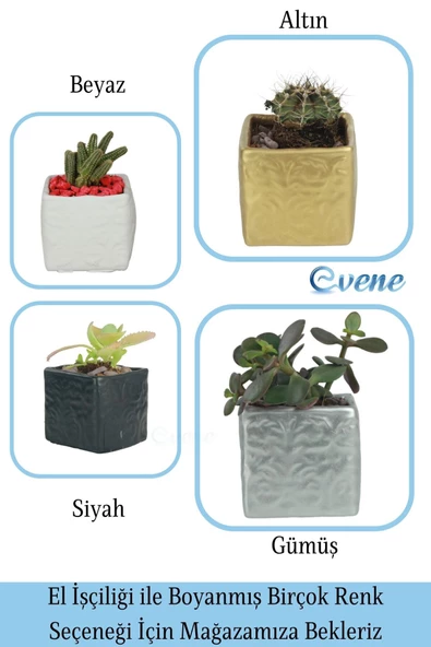 Evene Saksı Dekoratif Saksı Kaktüs Saksısı Sukulent Saksısı Küçük Saksı Model 45 Gümüş Saksı - Resim 7
