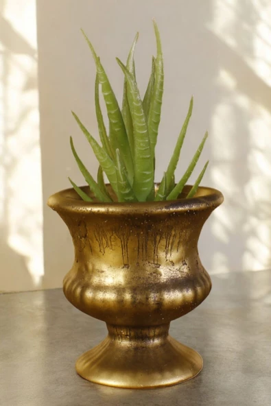 Stein Kohle Dekoratif Saksı Minik Kaktüs Saksısı Altın Eskitme Renk Model 33 ürün görseli 1