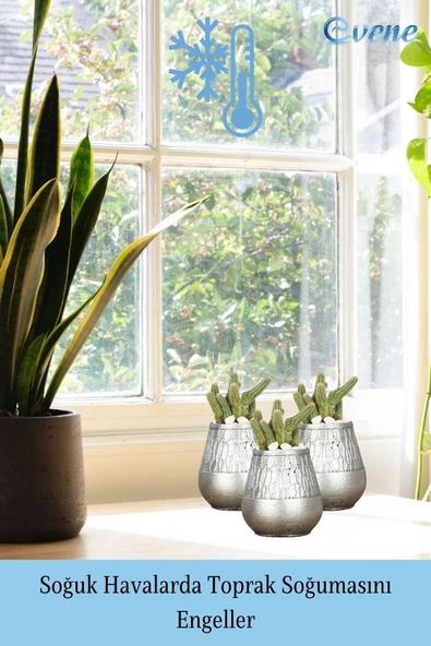 Evene Saksı Dekoratif Saksı Kaktüs Saksısı Sukulent Saksısı Küçük Saksı Model 35 Siyah Gümüş Saksı - Resim 5