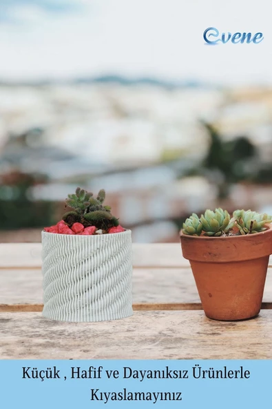 Evene Saksı Dekoratif Saksı Kaktüs Saksısı Sukulent Saksısı Küçük Saksı Model 39 Beyaz Saksı - Resim 3