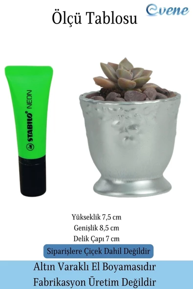 Evene Saksı Dekoratif Saksı Kaktüs Saksısı Sukulent Saksısı Küçük Saksı Model 32 Gümüş Saksı - Resim 2