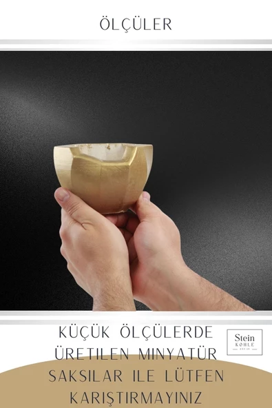 Stein Kohle Çiçek Saksısı Dekoratif Kaktüs Saksı 1 Adet Altın Renk Uygulamalı Önü Açık Model - 3