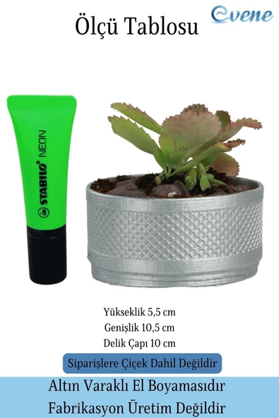 Evene Saksı Dekoratif Saksı Kaktüs Saksısı Sukulent Saksısı Küçük Saksı Model 46 Gümüş Saksı - Resim 2