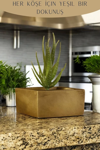 Stein Kohle Dekoratif Saksı Minik Kaktüs Saksısı Altın Eskitme Renk 1 Adet Dörtgen Model - Resim 4