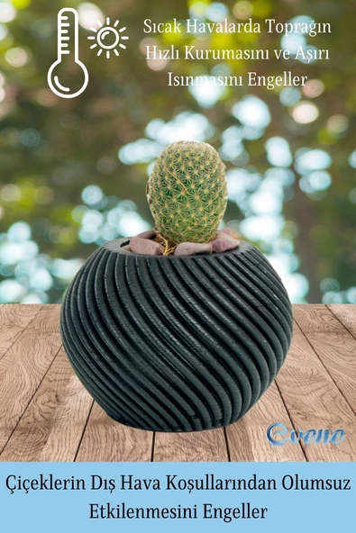 Evene Saksı Dekoratif Saksı Kaktüs Saksısı Sukulent Saksısı Küçük Saksı Model 1 Siyah Saksı - Resim 4