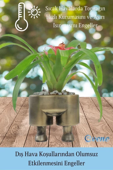 Evene Saksı Çiçek Kaktüs Saksısı Lüx 13 Cm Altın Eskitme Varak Boyalı Pantolon Desen Saksı Çiçeklik - 6