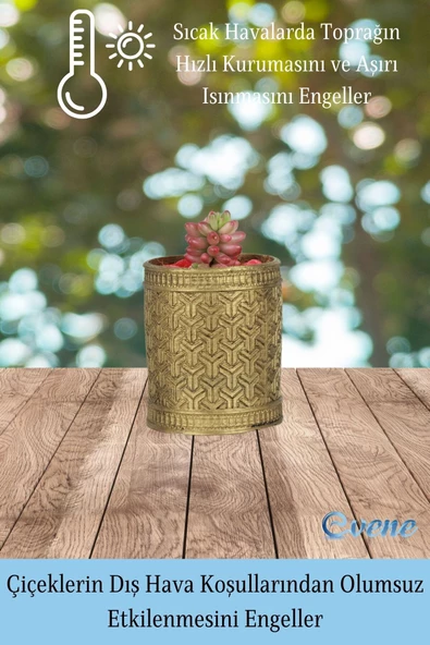 Evene Saksı Dekoratif Saksı Kaktüs Saksısı Sukulent Saksısı Küçük Saksı Model 42 Altın Saksı - Resim 4