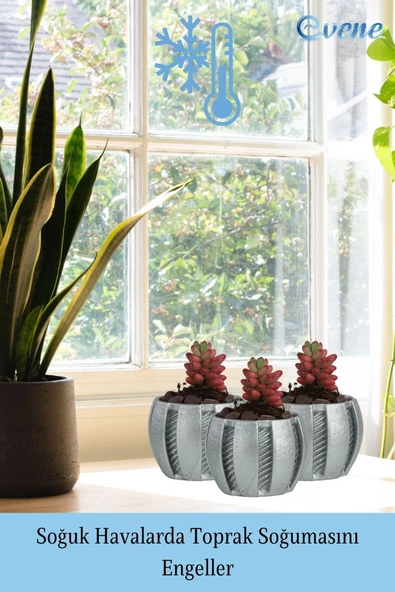 Evene Saksı Dekoratif Saksı Kaktüs Saksısı Sukulent Saksısı Küçük Saksı Model 41 Gümüş Saksı - Resim 5