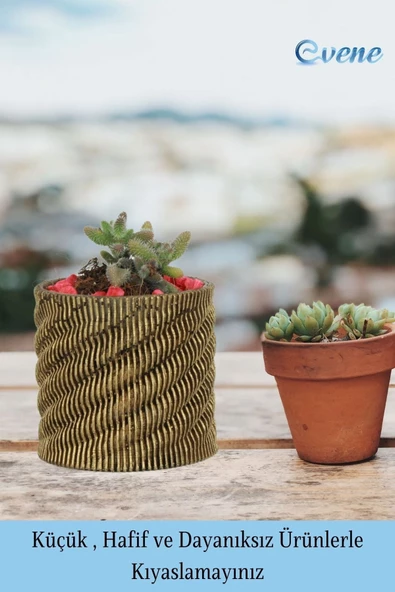 Evene Saksı Dekoratif Saksı Kaktüs Saksısı Sukulent Saksısı Küçük Saksı Model 39 Altın Saksı - Resim 3