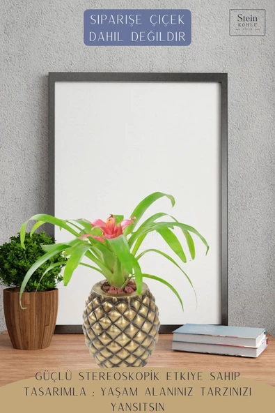 Stein Kohle Çiçek Saksısı Büyük Boy 1 Adet Altın Renk Eskitme Uygulamalı Ananas Model - Resim 4