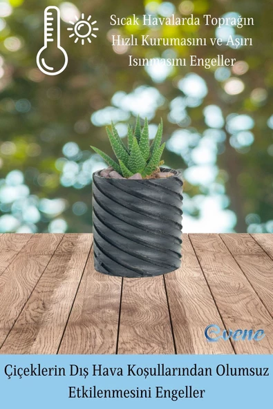 Evene Saksı Dekoratif Saksı Kaktüs Saksısı Sukulent Saksısı Küçük Saksı Model 37 Siyah Saksı - Resim 4