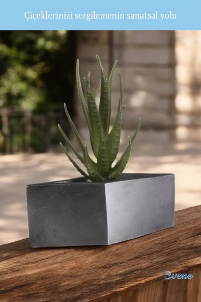 Evene Mini Çiçek Saksı Küçük Sukulent Gümüş Eskitme Kaktüs Saksısı Dörtgen Yatay Model - Resim 3