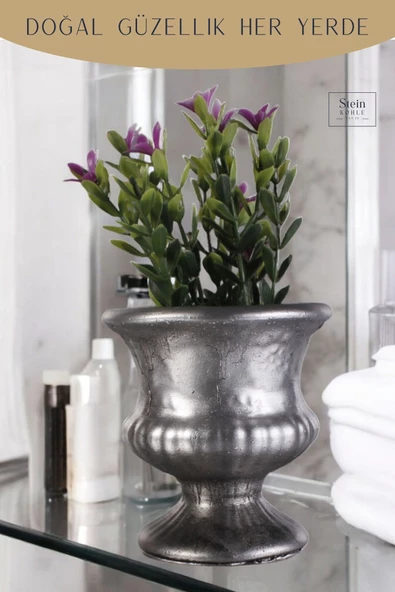 Stein Kohle Dekoratif Saksı Minik Kaktüs Saksısı Gümüş Eskitme Renk Model 33 - Resim 5