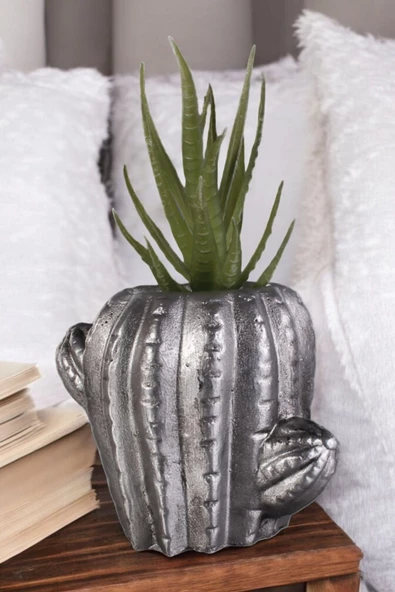 Stein Kohle Dekoratif Saksı Minik Kaktüs Saksısı Gümüş Eskitme Renk 1 Adet Kaktüs Model ürün görseli 1