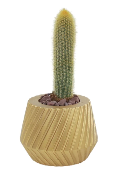 Stein Kohle Çiçek Saksısı Büyük Boy 1 Adet Altın Renk Uygulamalı Dişli Model ürün görseli 1