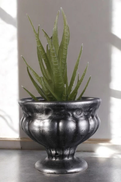 Stein Kohle Dekoratif Saksı Minik Kaktüs Saksısı Gümüş Eskitme Renk Model 34 ürün görseli 1