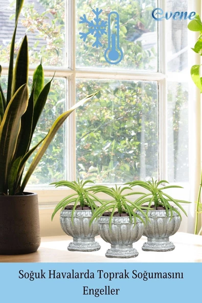 Evene Mini Çiçek Saksı Küçük Sukulent Gümüş Kaktüs Saksısı Antika Vazo Model - Resim 5