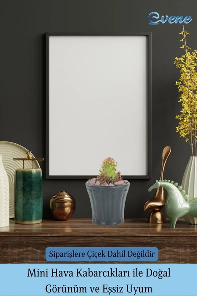 Evene Saksı Dekoratif Saksı Kaktüs Saksısı Sukulent Saksısı Küçük Saksı Model 40 Siyah Saksı - Resim 7