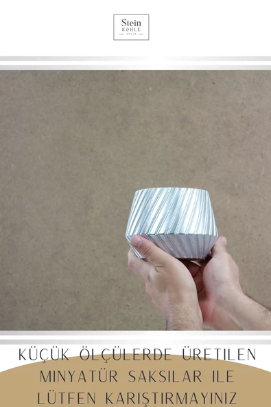 Stein Kohle Çiçek Saksısı Dekoratif Kaktüs Saksı 1 Adet Gümüş Renk Uygulamalı Dişli Model - Resim 3