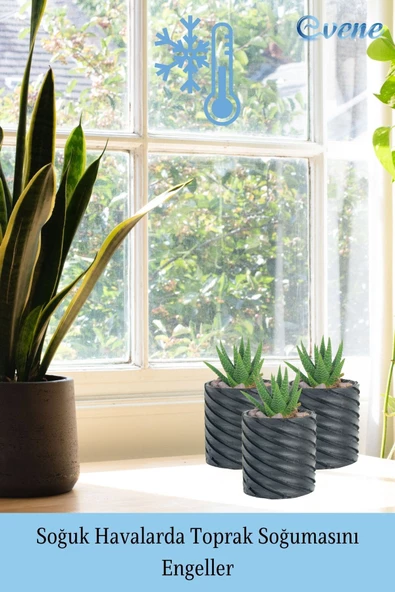 Evene Saksı Dekoratif Saksı Kaktüs Saksısı Sukulent Saksısı Küçük Saksı Model 37 Siyah Saksı - Resim 5