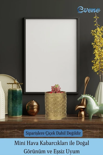Evene Saksı Dekoratif Saksı Kaktüs Saksısı Sukulent Saksısı Küçük Saksı Model 42 Altın Saksı - Resim 6