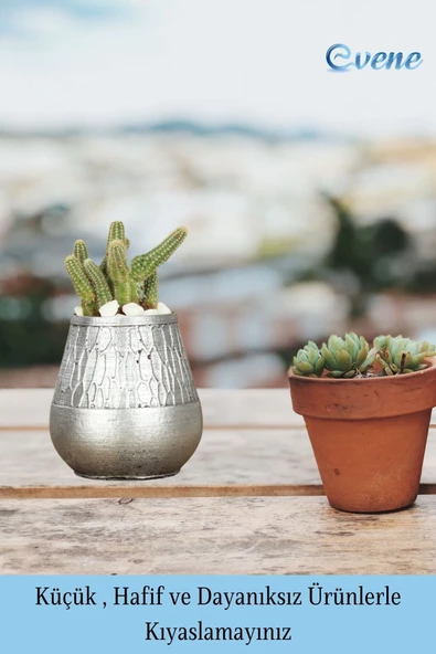 Evene Saksı Dekoratif Saksı Kaktüs Saksısı Sukulent Saksısı Küçük Saksı Model 35 Siyah Gümüş Saksı - Resim 3