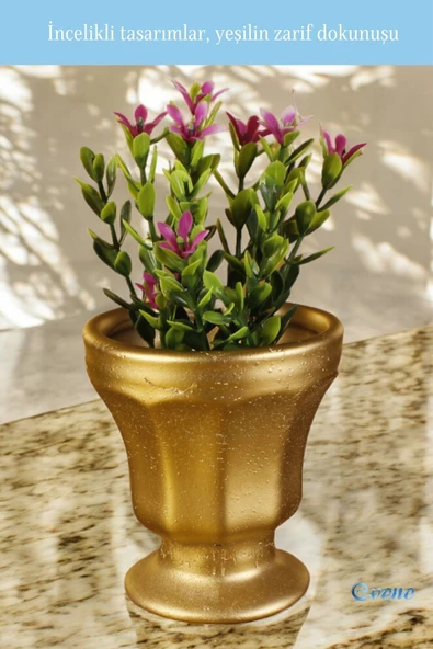 Evene Saksı Dekoratif Saksı Kaktüs Saksısı Sukulent Saksısı Küçük Saksı Model 38 Altın Saksı - Resim 5