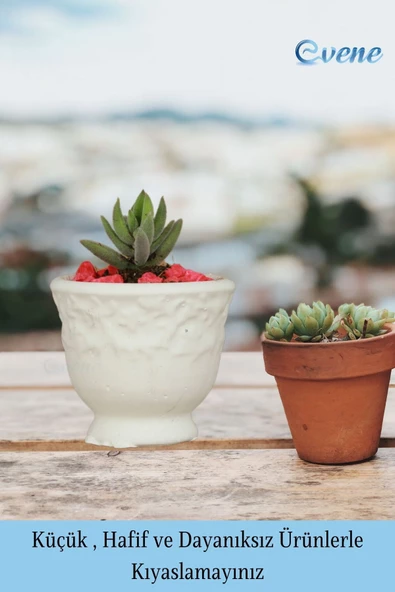Evene Saksı Dekoratif Saksı Kaktüs Saksısı Sukulent Saksısı Küçük Saksı Model 31 Beyaz Saksı - 3
