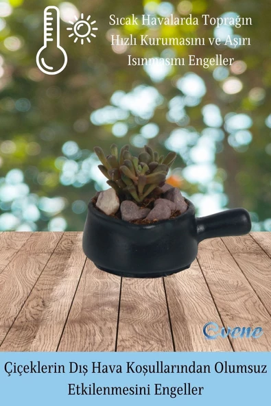 Evene Saksı Dekoratif Saksı Kaktüs Saksısı Sukulent Saksısı Küçük Saksı Model 28 Siyah 3 Lü Saksı - Resim 4