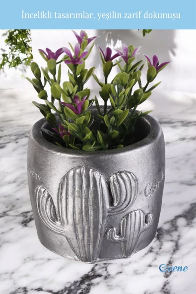 Evene Saksı Dekoratif Saksı Kaktüs Saksısı Sukulent Saksısı Küçük Saksı Model 21 Gümüş Eskitme Saksı - Resim 5