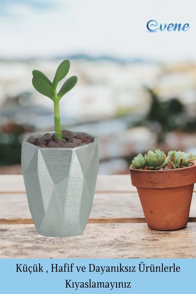 Evene Saksı Kaktüs Saksısı Dekoratif Saksı Model 12 - Resim 3