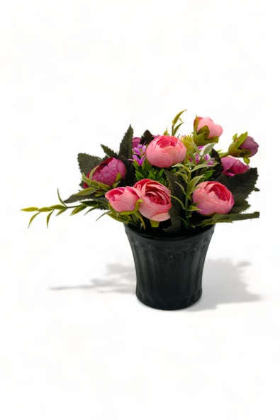 Evene Saksı Dekoratif Saksı Kaktüs Saksısı Sukulent Saksısı Küçük Saksı Model 40 Siyah Saksı ürün görseli 1