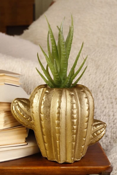 Stein Kohle Dekoratif Saksı Minik Kaktüs Saksısı Altın Renk 1 Adet Kaktüs Model ürün görseli 1