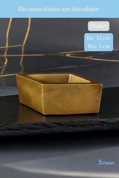 Evene Mini Çiçek Saksı Küçük Sukulent Altın Eskitme Kaktüs Saksısı Dörtgen Yatay Model - Resim 2