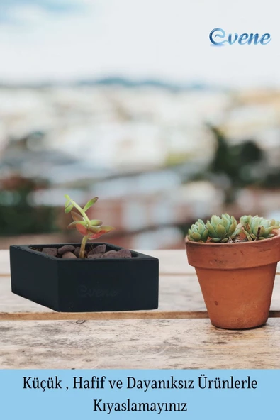 Evene Saksı Dekoratif Saksı Kaktüs Saksısı Sukulent Saksısı Küçük Saksı Model 19 Siyah Saksı - Resim 3