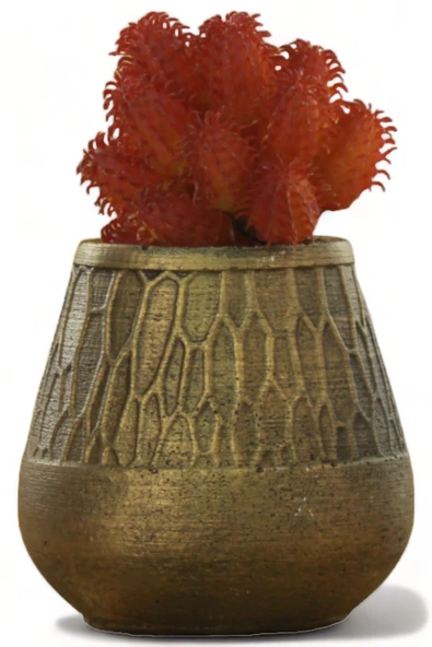 Evene Saksı Dekoratif Saksı Kaktüs Saksısı Sukulent Saksısı Küçük Saksı Model 35 Altın Saksı ürün görseli 1