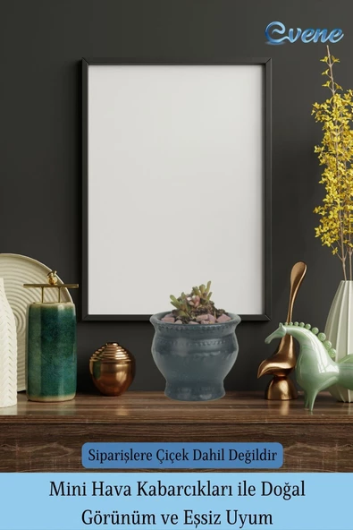 Evene Saksı Dekoratif Saksı Kaktüs Saksısı Sukulent Saksısı Küçük Saksı Model 43 Siyah Saksı - Resim 6