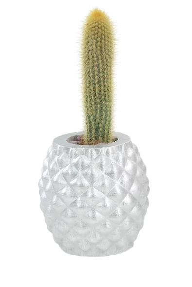 Stein Kohle Çiçek Saksısı Büyük Boy 1 Adet Gümüş Renk Uygulamalı Ananas Model - 1