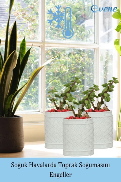 Evene Saksı Dekoratif Saksı Kaktüs Saksısı Sukulent Saksısı Küçük Saksı Model 42 Beyaz Saksı - Resim 5