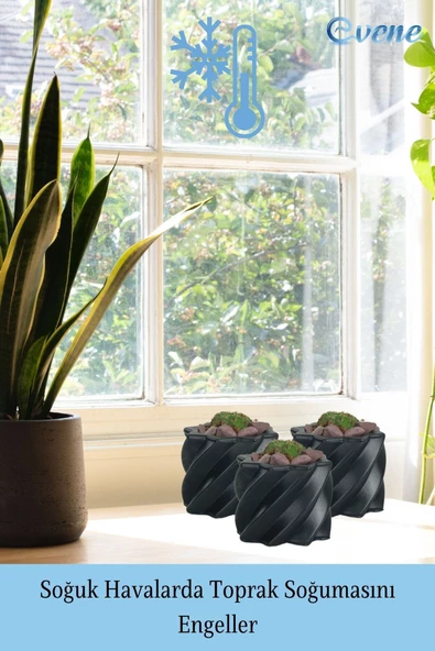 Evene Saksı Dekoratif Saksı Kaktüs Saksısı Sukulent Saksısı Küçük Saksı Model 9 Siyah Saksı - Resim 5