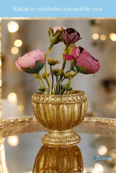 Evene Mini Çiçek Saksı Küçük Sukulent Altın Kaktüs Saksısı Antika Vazo Model - Resim 4