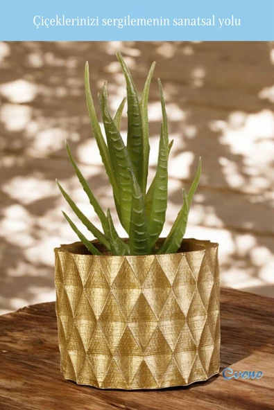 Evene Saksı Dekoratif Saksı Kaktüs Saksısı Sukulent Saksısı Küçük Saksı Model 16 Altın Saksı - Resim 3